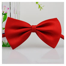 Load image into Gallery viewer, Fashion Pet Dog Cat Bow Tie Necklace Adjustable
